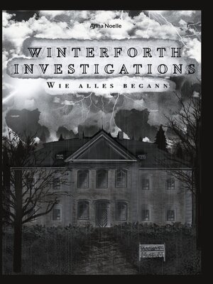 cover image of Winterforth Investigations